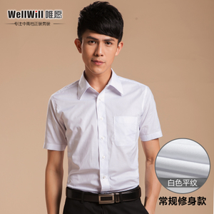 WellWill 6030