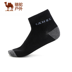 CAMELUS A6W3B3108