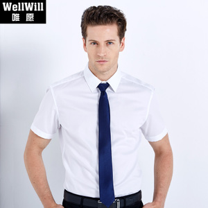 WellWill 0268A