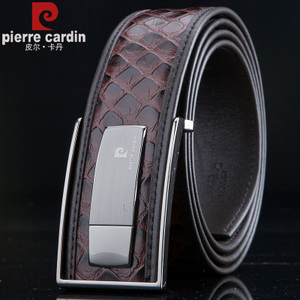 Pierre Cardin/皮尔卡丹 PEA803301BYA