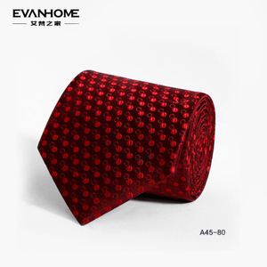 Evanhome/艾梵之家 A45-80