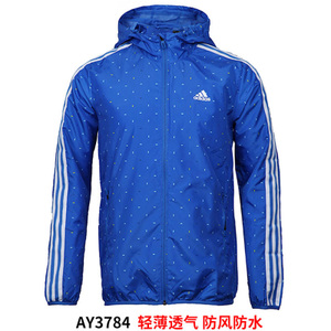 Adidas/阿迪达斯 AY3784