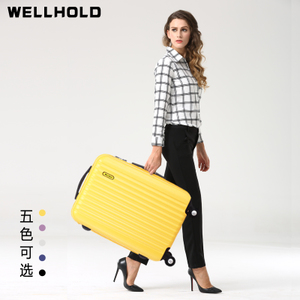 wellhold WH-LB111