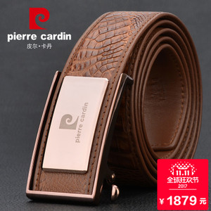 Pierre Cardin/皮尔卡丹 831E2012-2A1040