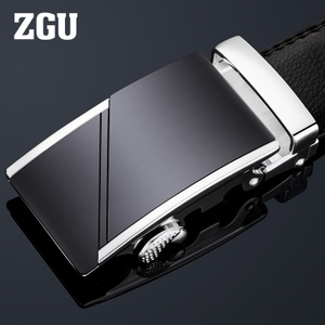 ZGU ZY0080-0201LB