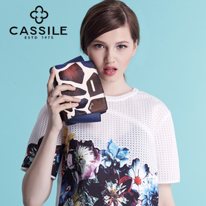 cassile/卡思乐 C151032025