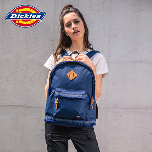 Dickies 161U90EC20