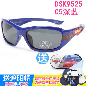 DSK9525-C5
