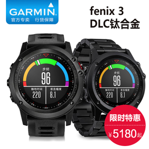 Garmin/佳明 fenix3DLC