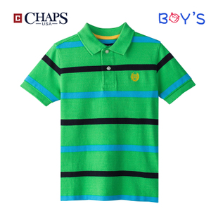 CHAPS 173616