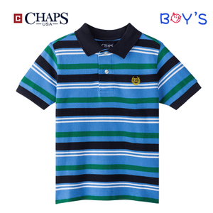 CHAPS 173602