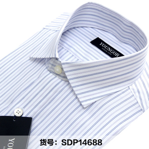 Youngor/雅戈尔 SDP14688