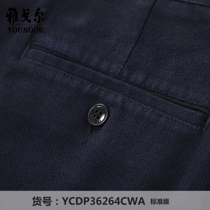 Youngor/雅戈尔 YCDP36264CWA