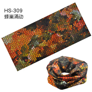 HS-309