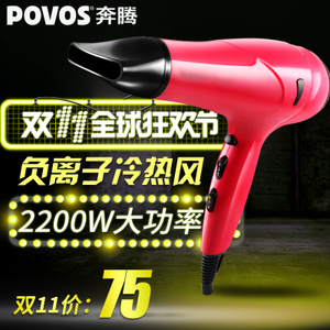 Povos/奔腾 PW619