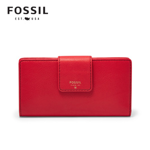Fossil/化石 SL4581602