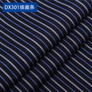 DX301