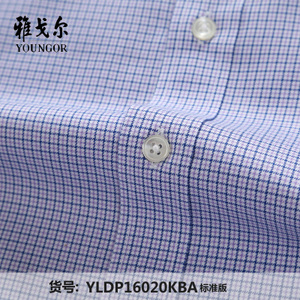 Youngor/雅戈尔 YLDP16020KBA