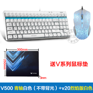 Rapoo/雷柏 V500