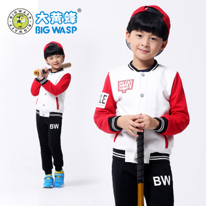 BIG WASP/大黄蜂 796361330A