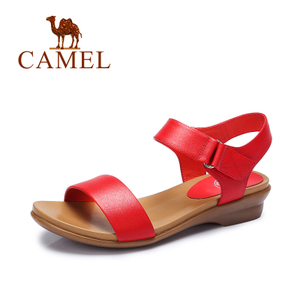 Camel/骆驼 A62862627