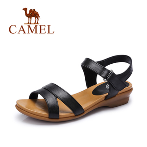 Camel/骆驼 A62862615