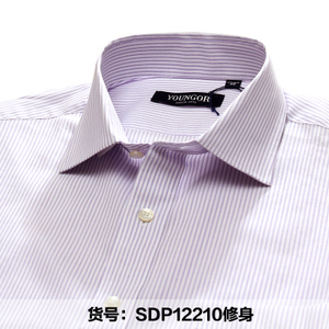 SDP12210