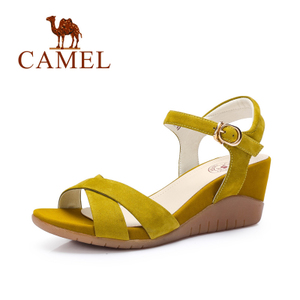 Camel/骆驼 A62827619