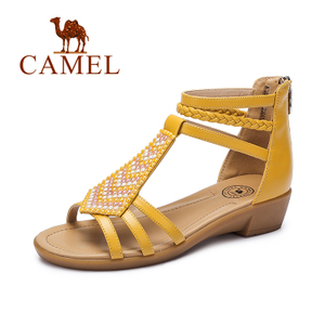 Camel/骆驼 A62504632