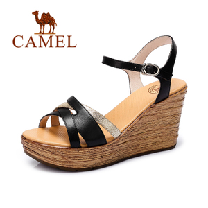 Camel/骆驼 A62825619