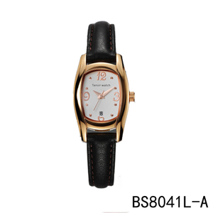 BS8041L-A