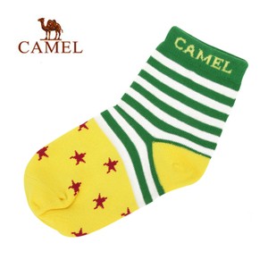 Camel/骆驼 A6W6B3837