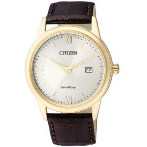 Citizen/西铁城 AW1232-12A