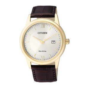 Citizen/西铁城 AW1232-12A