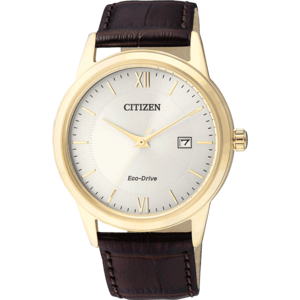 Citizen/西铁城 AW1232-12A