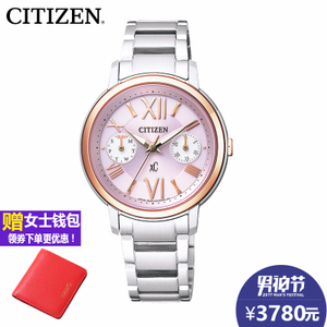 Citizen/西铁城 FD1094-53W