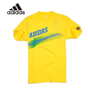 Adidas/阿迪达斯 D89129-S13