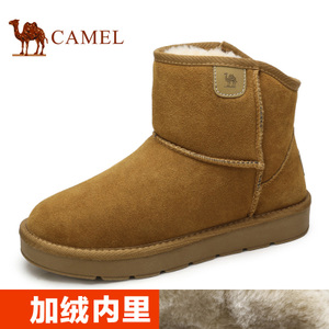 Camel/骆驼 A642294049