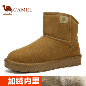 Camel/骆驼 A642294049