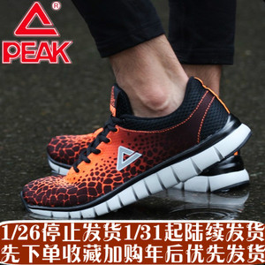 Peak/匹克 DH630171