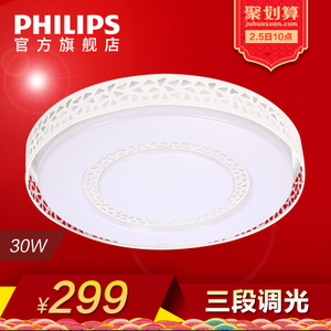 Philips/飞利浦 31206-40W-60times0.6W