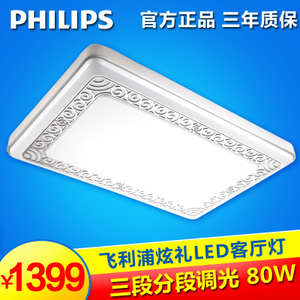 Philips/飞利浦 31206-40W-60times0.6W