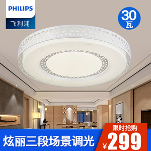 Philips/飞利浦 31206-40W-60times0.6W