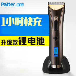 Paiter G9901