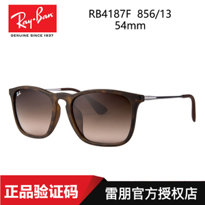 Rayban/雷朋 0RB4187F