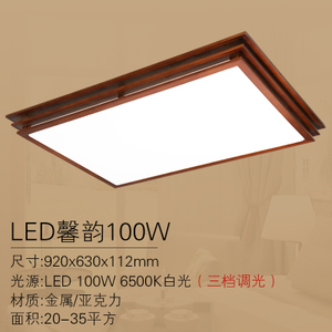 Philips/飞利浦 LED100W6500K920-630mm