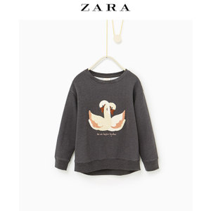 ZARA 06224704807-19