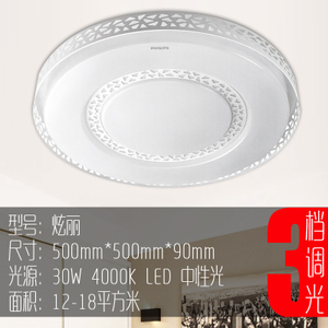 Philips/飞利浦 LED30W500mm