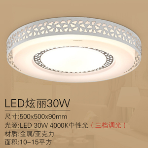 LED30W500MM