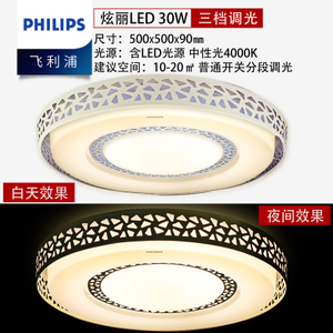 Philips/飞利浦 LED30W500mm